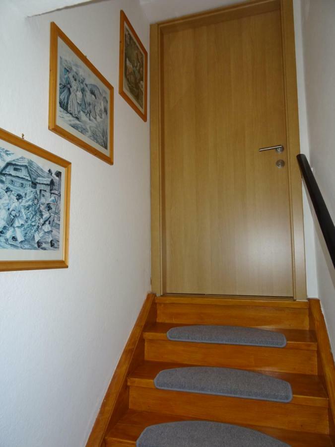 Apartment Tjasa Радовлиця Екстер'єр фото